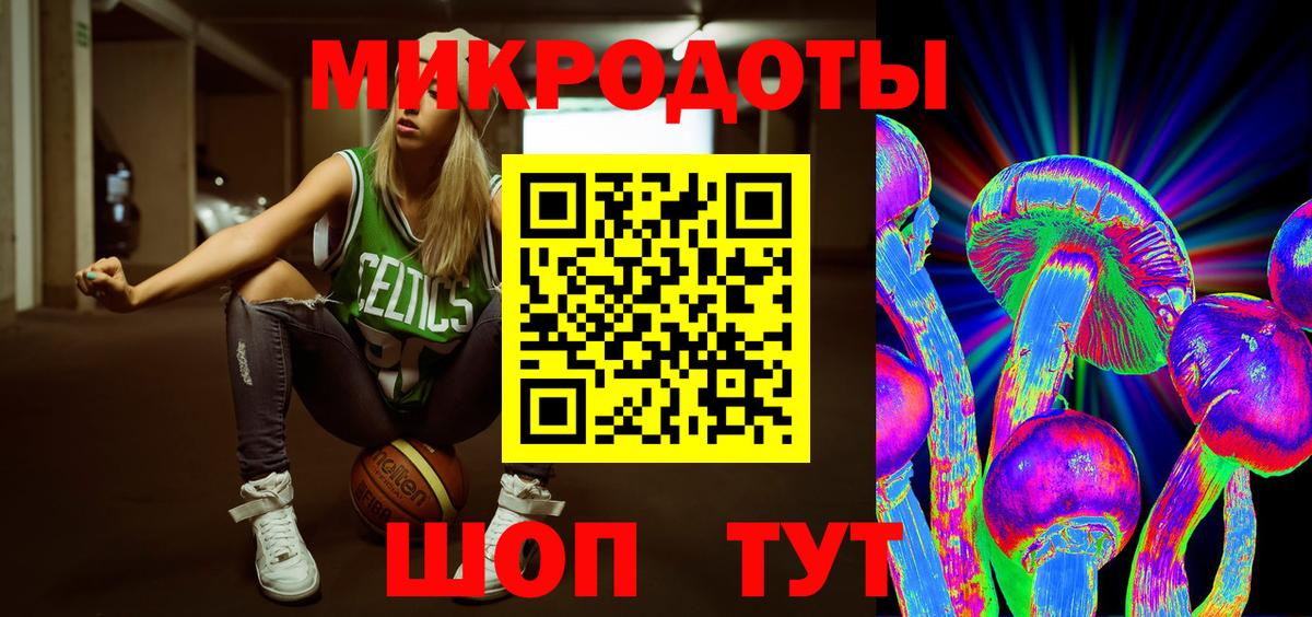 Домодедово  Псилоцибиновые грибы Psilocybine cubensis  Вход с VPN 